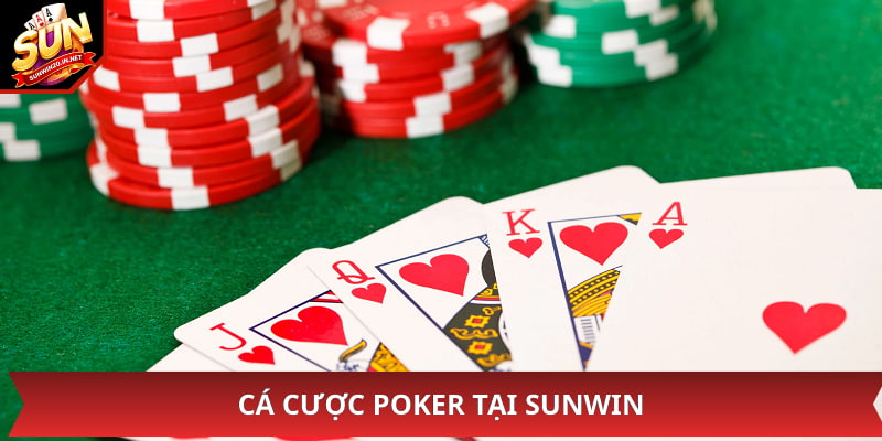 Cá cược poker tại sunwin