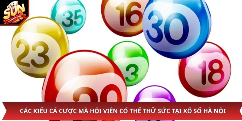 Các kiểu cá cược mà hội viên có thể thử sức tại xổ số Hà Nội